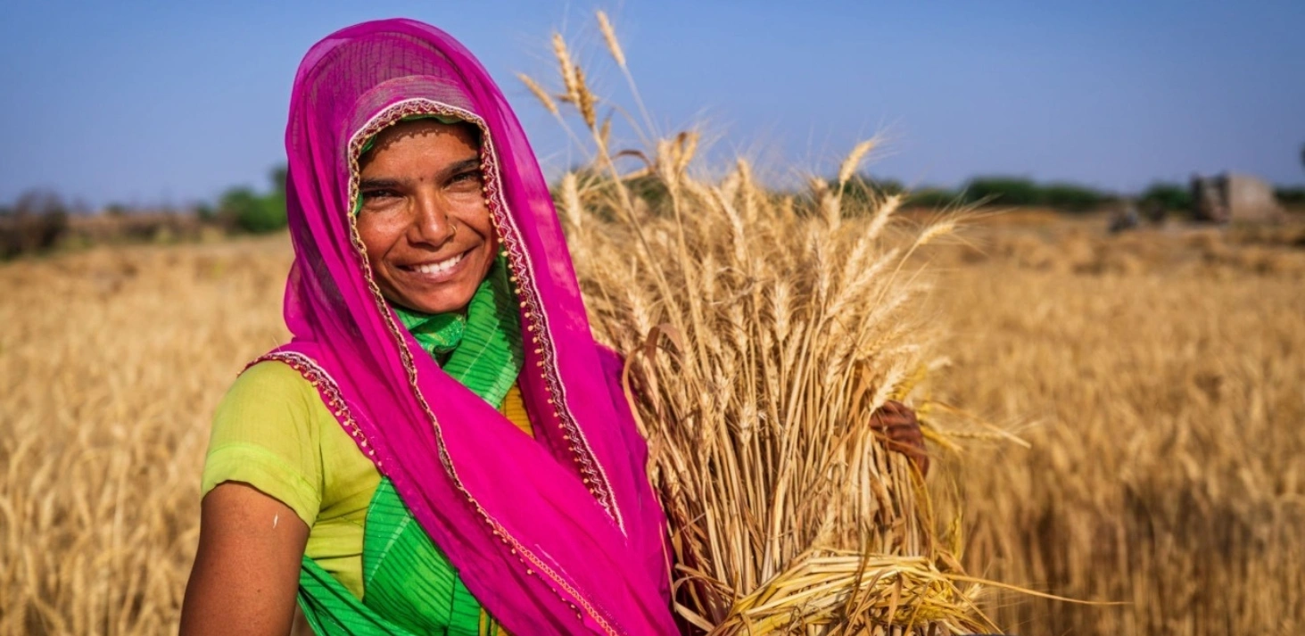 Rajasthan Holidays Rajasthan Holidays